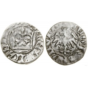 Poľsko, korunový polgroš, bez dátumu (1406-1412), Krakov