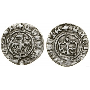 Poland, Crown half-penny, no date, Cracow