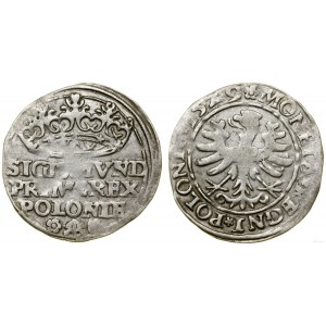 Poland, penny, 1529, Cracow