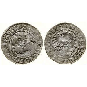 Poland, half-penny, 1515, Vilnius