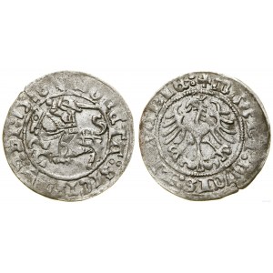 Polska, półgrosz, 1518, Wilno