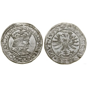 Poľsko, penny, 1530, Toruń