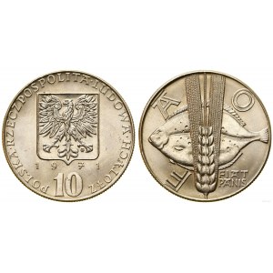 Polonia, 10 zloty, 1971, Varsavia