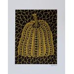 Yayoi Kusama (ur.1929), Dynia