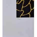 Yayoi Kusama (ur.1929), Dynia