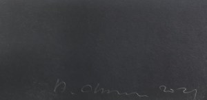Stanisław Cholewa (ur. 1973), Postać podwójna, 2021 (E/A)