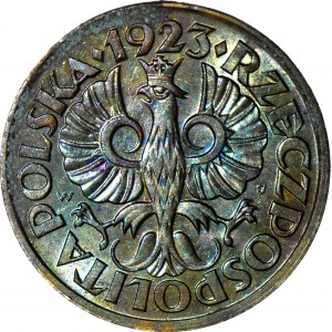 5 groszy 1923 mosadz, mincovňa