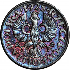 2 grosze 1925, mennicze