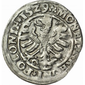 Sigismund I the Old, Penny 1529, Cracow, small rosettes, Romanes RRR