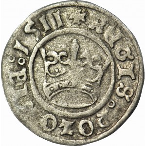 Zygmunt I Stary, Półgrosz 1511, Kraków