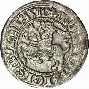 Zygmunt I Stary, Półgrosz 1510, Wilno
