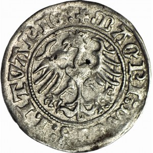 Zygmunt I Stary, Półgrosz 1510, Wilno