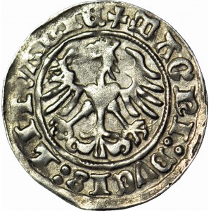 Zygmunt I Stary, Półgrosz 1513, Wilno