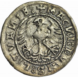 Sigismund I the Old, Half-penny 1520, Vilnius, SIGISMVANDI
