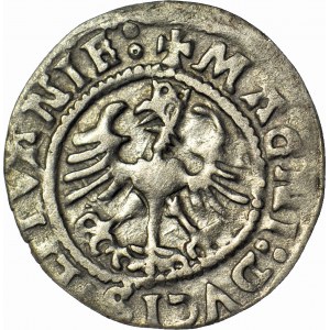 Sigismund I the Old, Half-penny 1524, Vilnius, SIGIS: MVNDI