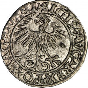 Sigismond II Auguste, demi-penny 1560, Vilnius, Li/Lituanie, beau