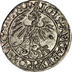 Sigismund II Augustus, Half-penny 1560, Vilnius, Li/LITVA, beautiful