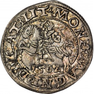 RR-, Zygmunt II August, Półgrosz 1562, Wilno, rzadka odmiana z ogonem do góry