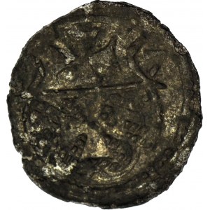 R-, Žigmund II Augustus, denár 1557, Elbląg