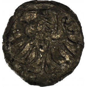 R-, Žigmund II Augustus, denár 1557, Elbląg