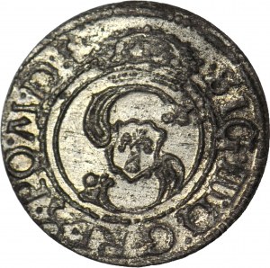 Sigismund III Vasa, Shelrogue 1625, Vilnius