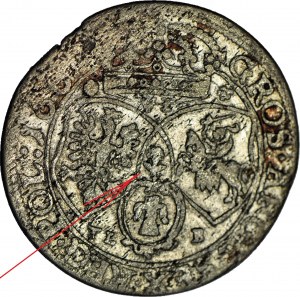 John II Casimir, Sixth of 1667 TLB, Bydgoszcz, flower between shields
