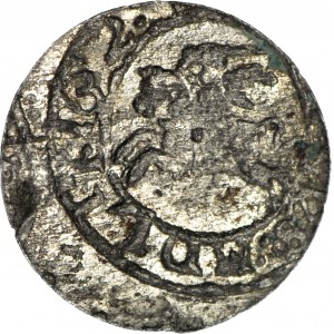 John Casimir, Vilnius 1652 shellac, beautiful glossy