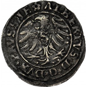 Lenne Prusy Książęce, Albrecht Hohenzollern, Szeląg 1530