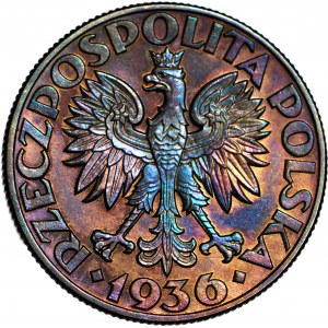 5 Gold 1936 Segelschiff, postfrisch, ausgezeichnete Patina