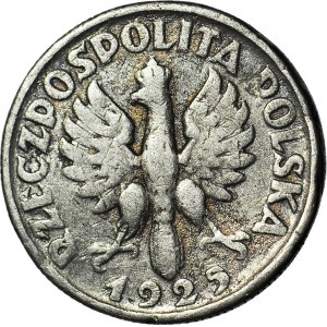 2 zlaté 1925, dobový padělek