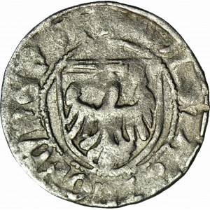 Casimir IV Jagiellonian, Szeląg, Toruń