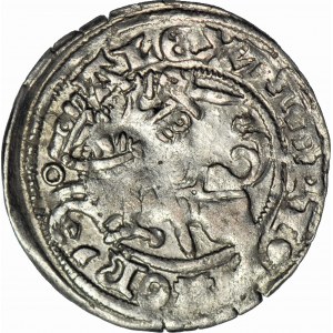 Alexander Jagiellon, Lithuanian half-penny without date, Vilnius, Gothic, minted