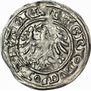Alexander Jagiellon, Lithuanian half-penny without date, Vilnius, Gothic, minted