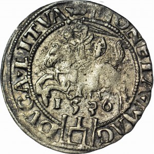 RR-, Zygmunt I Stary, Grosz 1536, Wilno, ładny