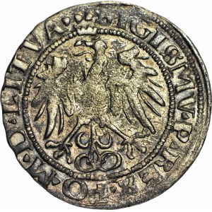 RR-, Zygmunt I Stary, Grosz 1536, Wilno, ładny