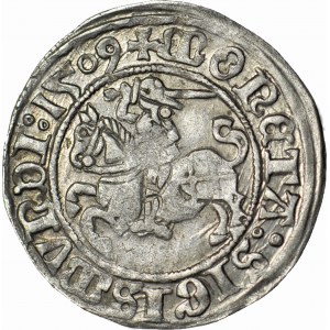 Zygmunt I Stary, Półgrosz 1509, Wilno, piękny