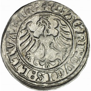 Zygmunt I Stary, Półgrosz 1509, Wilno, piękny