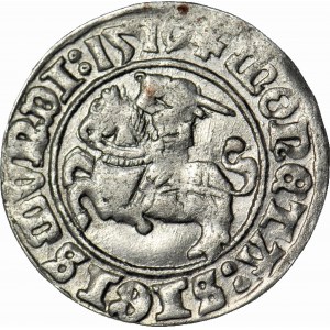 Zygmunt I Stary, Półgrosz 1510, Wilno, piękny
