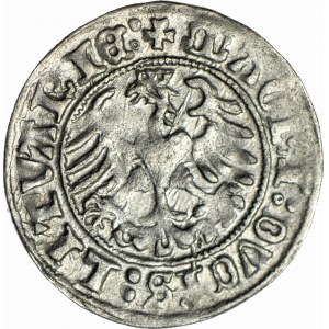 Zygmunt I Stary, Półgrosz 1510, Wilno, piękny
