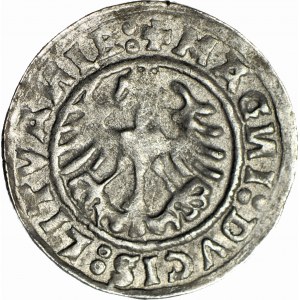 Sigismondo I il Vecchio, mezzo penny 1519, Vilnius, N rovesciata, bella