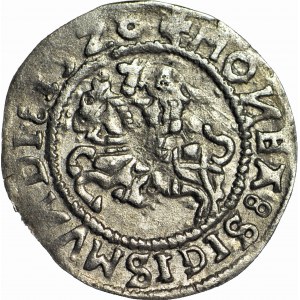 Zygmunt I Stary, Półgrosz 1528, Wilno, SI przebite na DV w DVCIS
