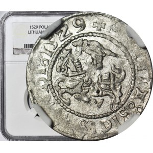 RR-, Sigismondo I il Vecchio, mezzo penny 1529, Vilnius, lettera V, rarità R7