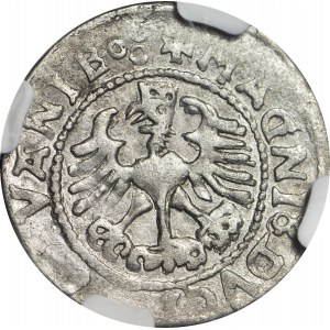 RR-, Sigismondo I il Vecchio, mezzo penny 1529, Vilnius, lettera V, rarità R7