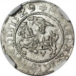 RR-, Sigismondo I il Vecchio, mezzo penny 1529, Vilnius, lettera V, rarità R7