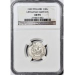 RR-, Sigismondo I il Vecchio, mezzo penny 1529, Vilnius, lettera V, rarità R7