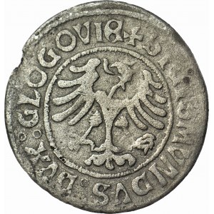 Sigismund Jagiellonian, penny without date (1505), Glogow