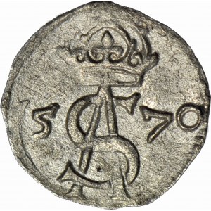 Zygmunt II August, Dwudenar 1570 Wilno, piękny