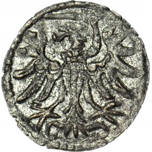 Sigismund II Augustus, Denar 1554, Danzig, R4