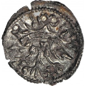 Sigismondo II Augusto, Denario, doppio conio DESTRUKT - corona e aquila
