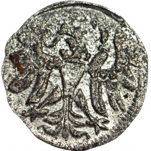 R-, Zygmunt II August Denar 1557, Gdańsk, ozdobny styl, R4